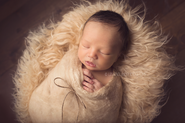 infant boy in a tan cocoon