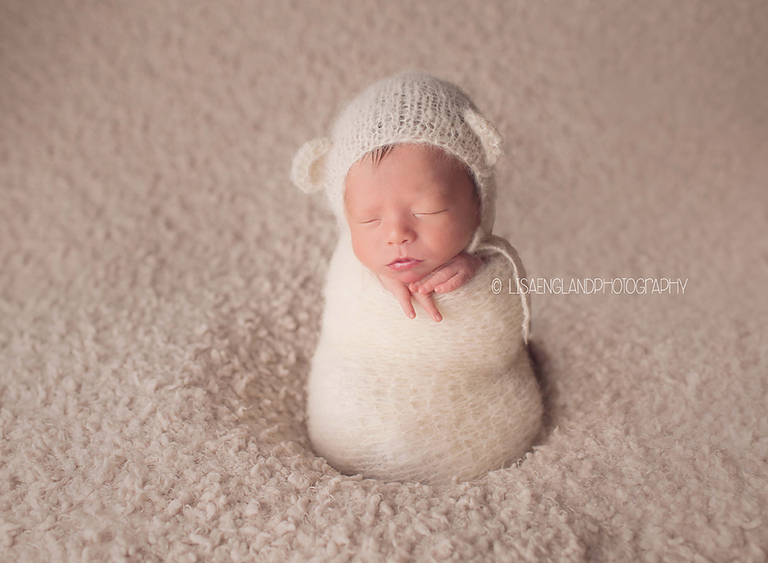 teddy bear baby 