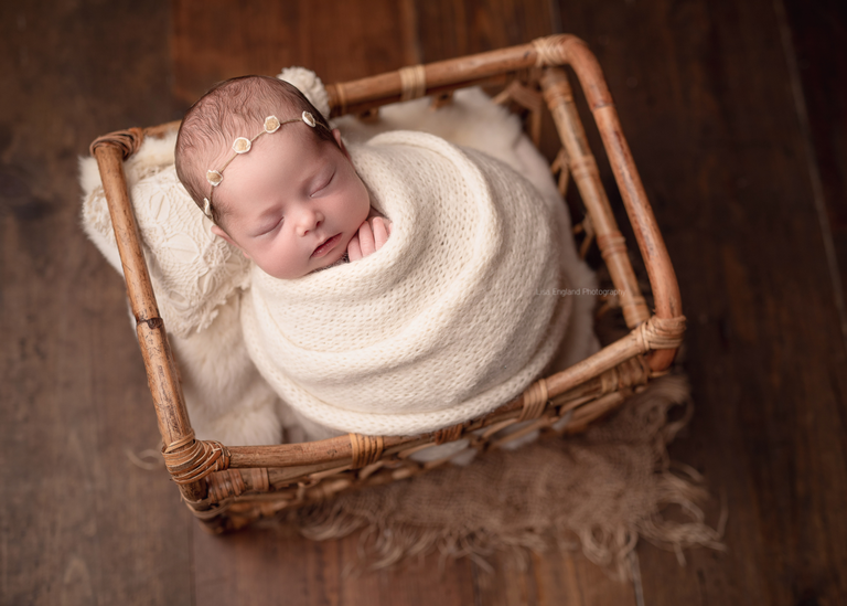https://lisaenglandphotography.com |  best newborn photographer san diego